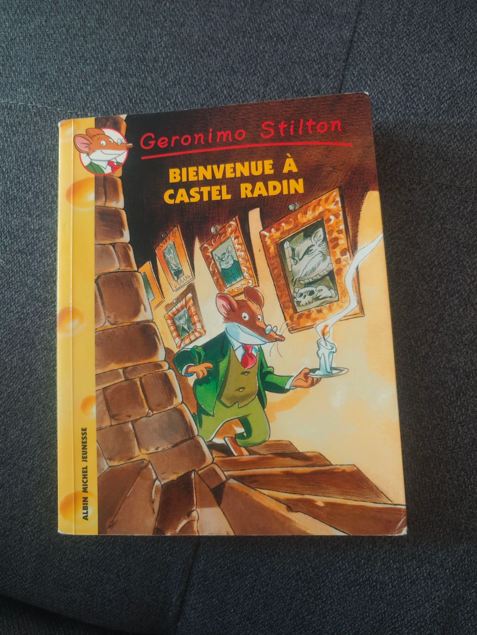 Bienvenue à Castel Radin Tome 10 (Geronimo Stilton)